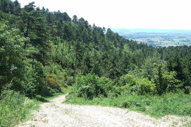 2011-05- (1532).JPG - Der Abstieg nach Puy-St-Martin